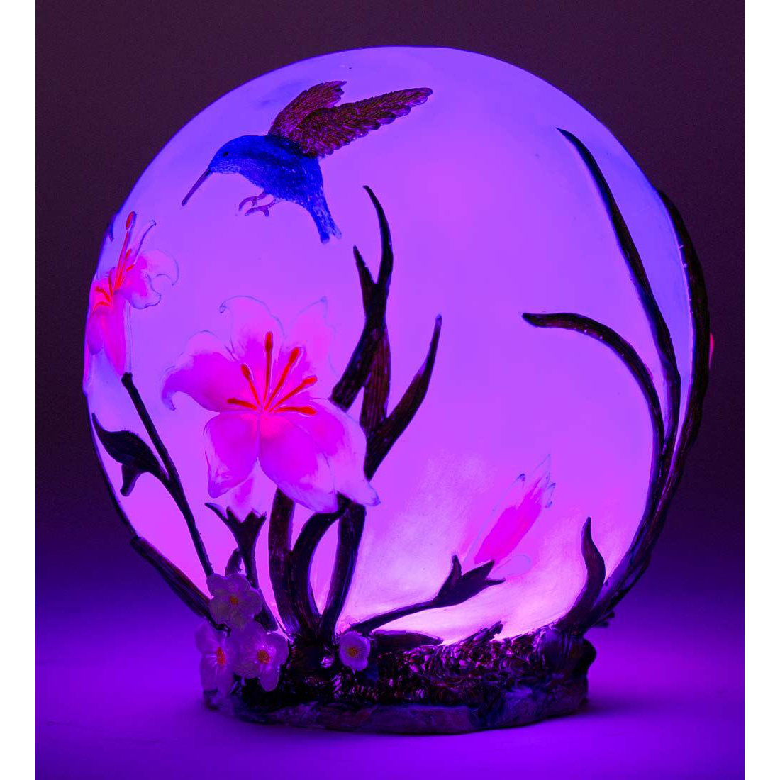 Wind & Weather ColorChanging Hummingbird Gazing Globe & Reviews Wayfair