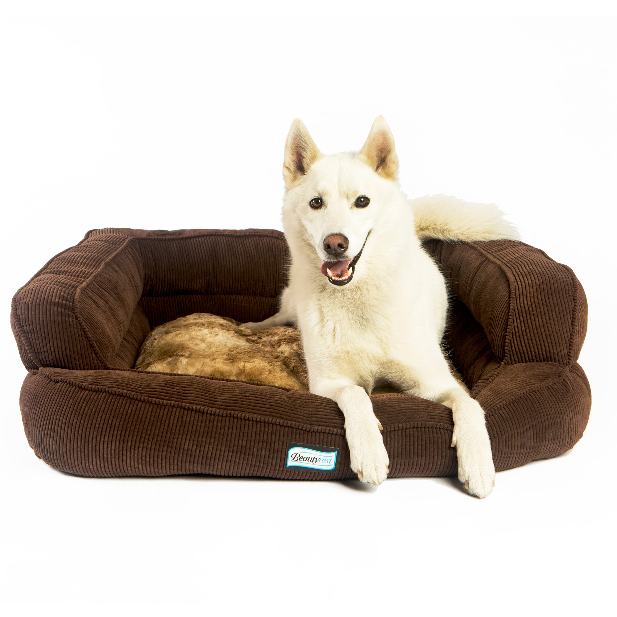 R2PPetLtd. Beautyrest Colossal Rest Orthopedic Memory Foam Extra Large Dog Bed & Reviews Wayfair