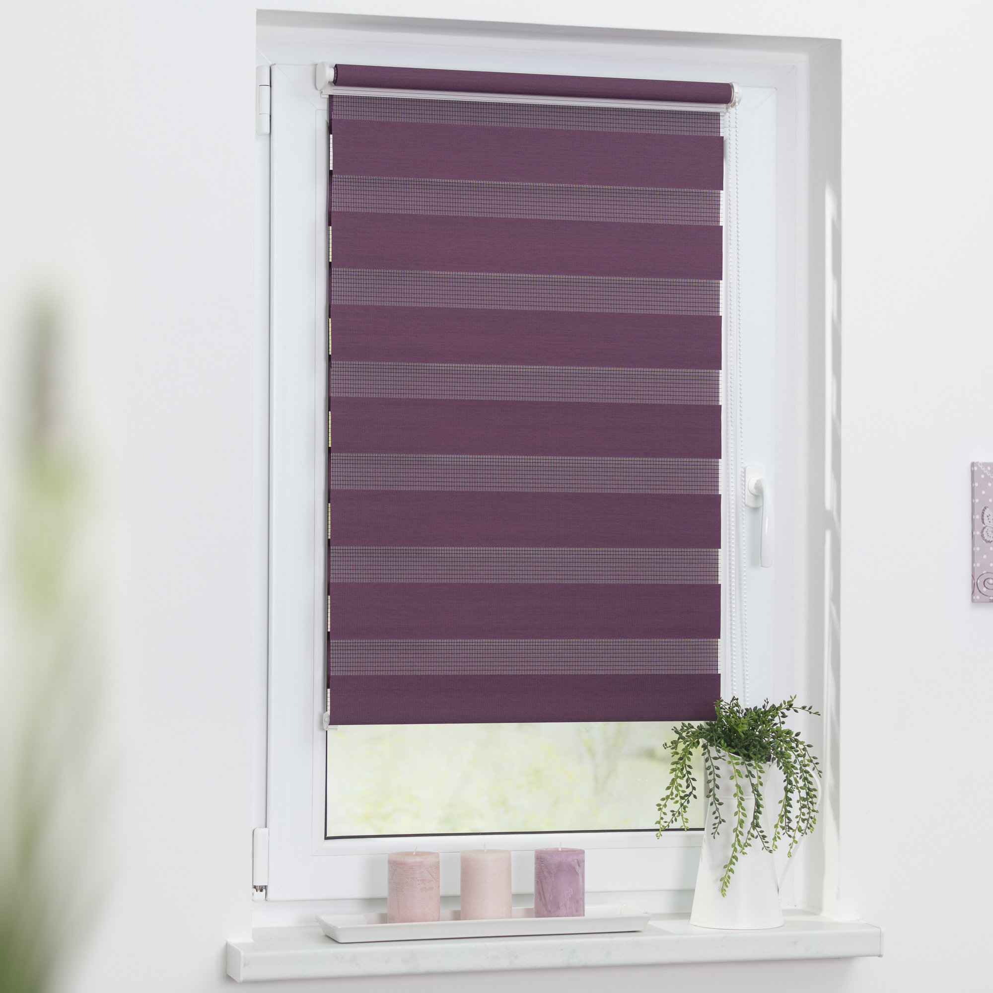 Lichtblick Klemmfix Roman Blinds & Reviews | Wayfair UK