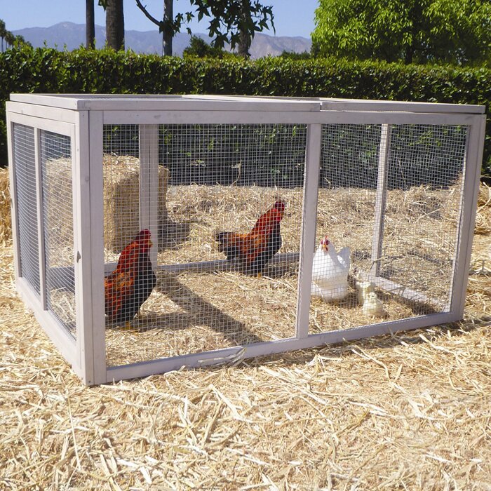 Precision Pet Extreme Hen Chicken Run & Reviews | Wayfair