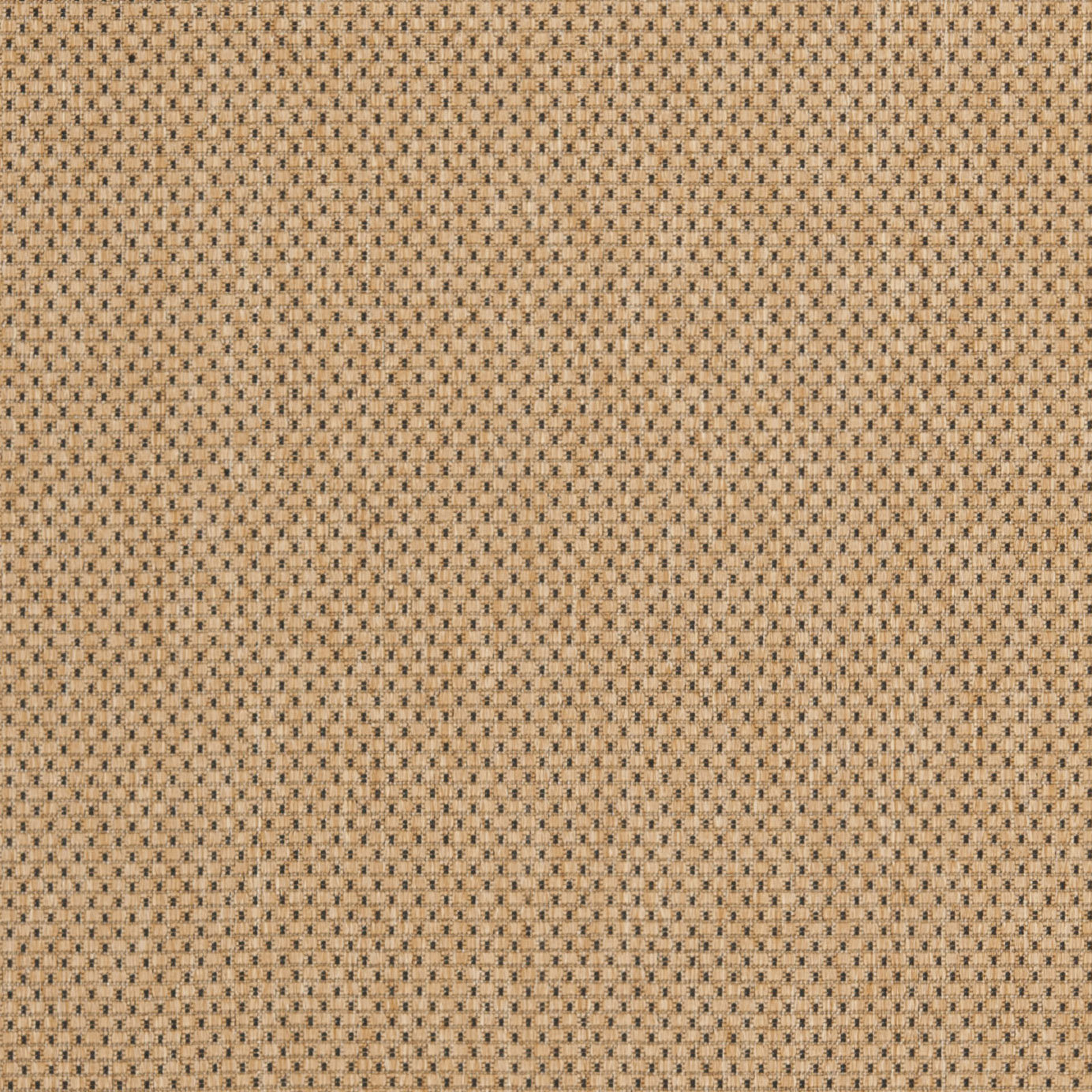 Safavieh Courtyard Natural/Gold Indoor/Outdoor Rug & Reviews Wayfair