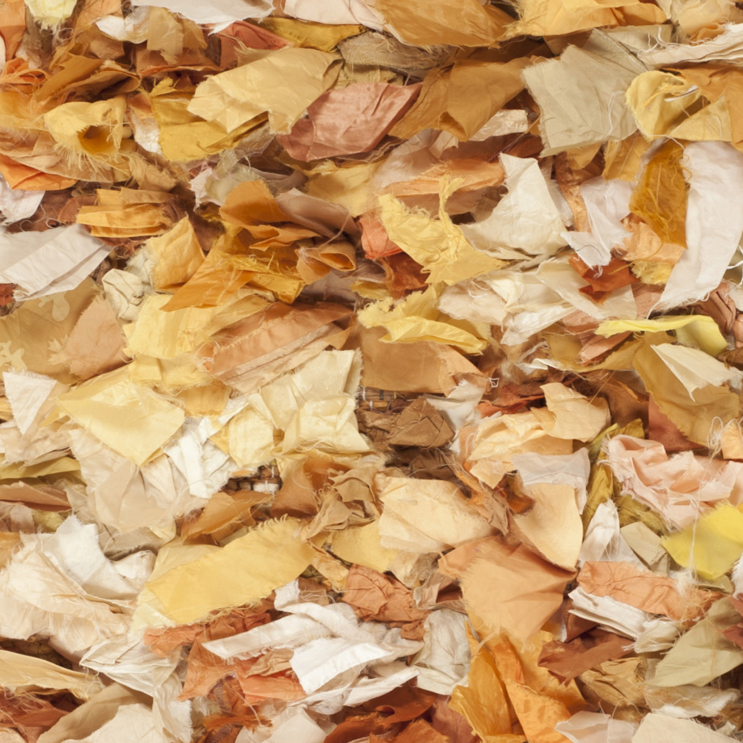 Safavieh Gold Shag Gold/Yellow Area Rug & Reviews Wayfair