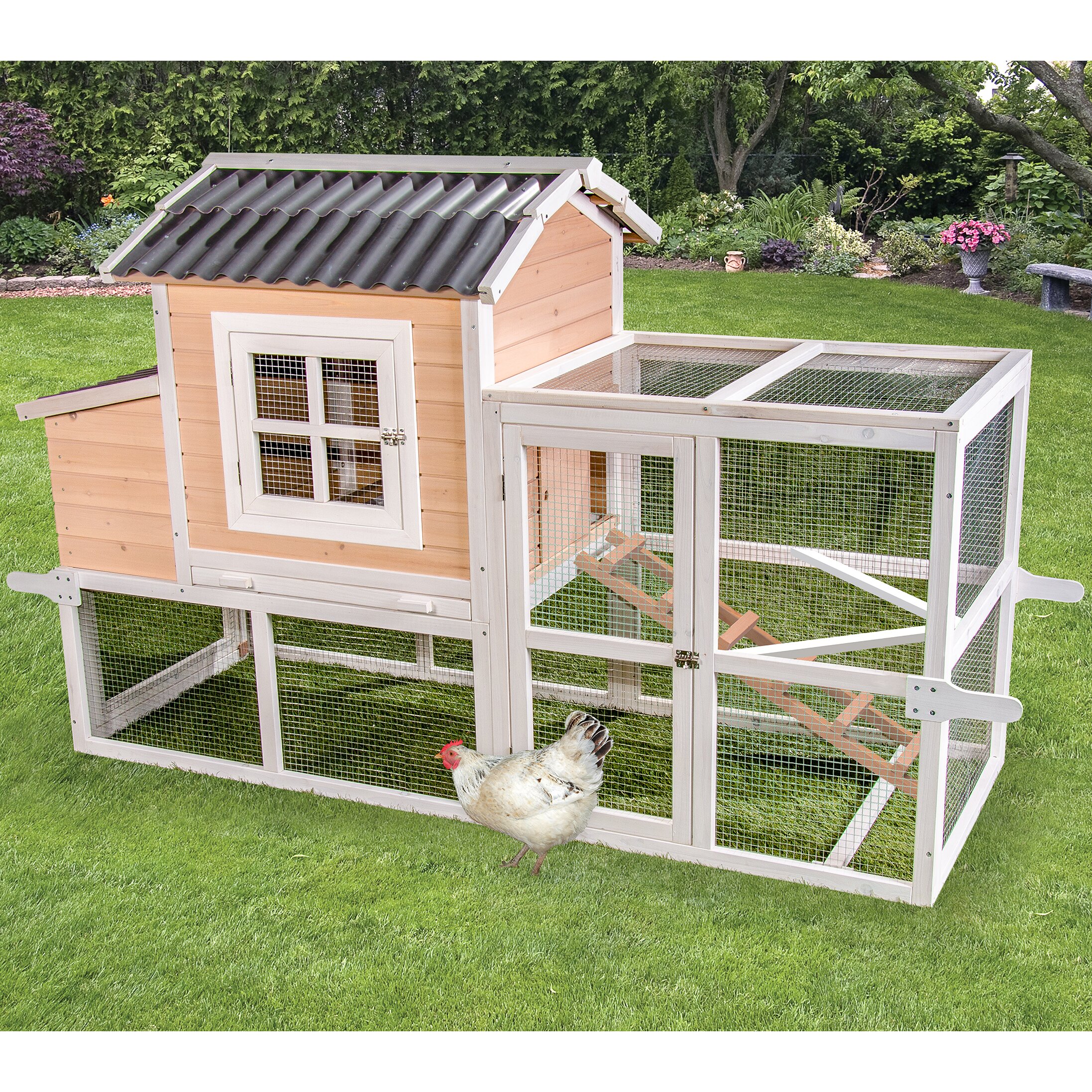 Ware Manufacturing Premium + Big Dutch Barn Chicken Coop 