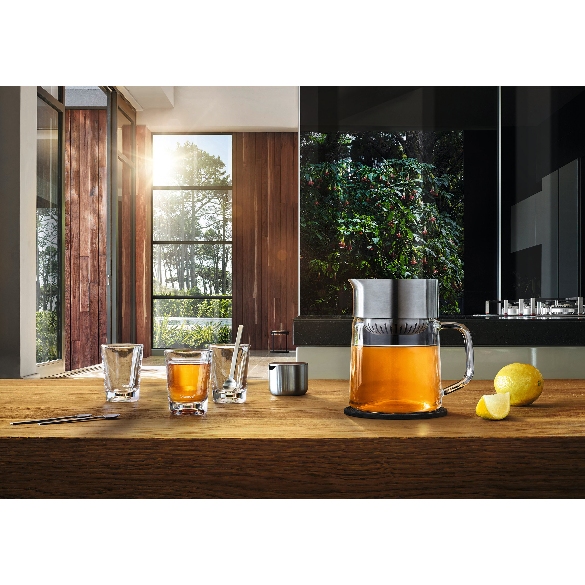 Blomus Tea Jane 1.06qt.Glass Tea Maker Wayfair