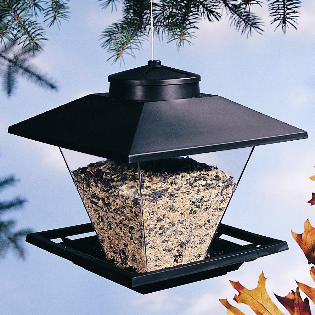 North States Pop Up Coach Lamp Hopper Bird Feeder & Reviews Wayfair
