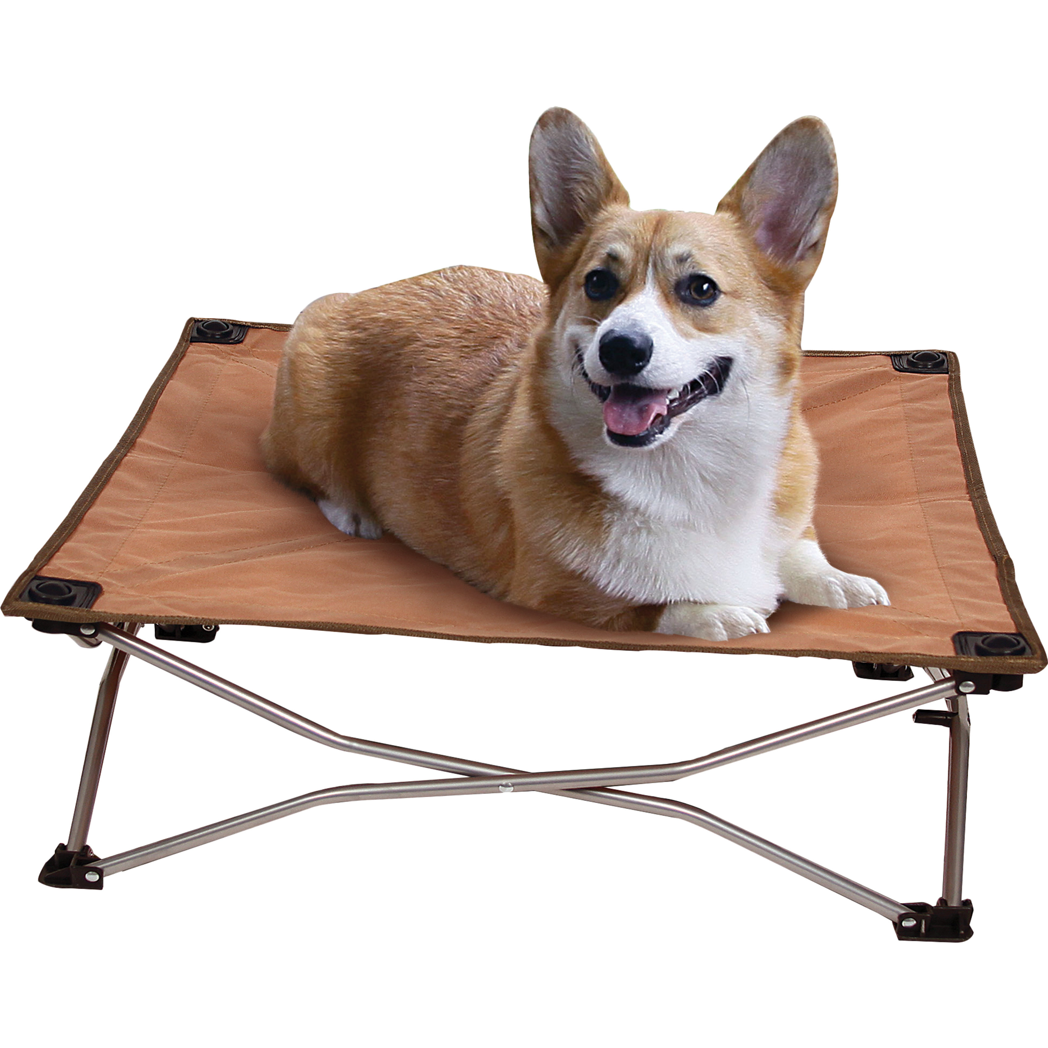 pet travel cot