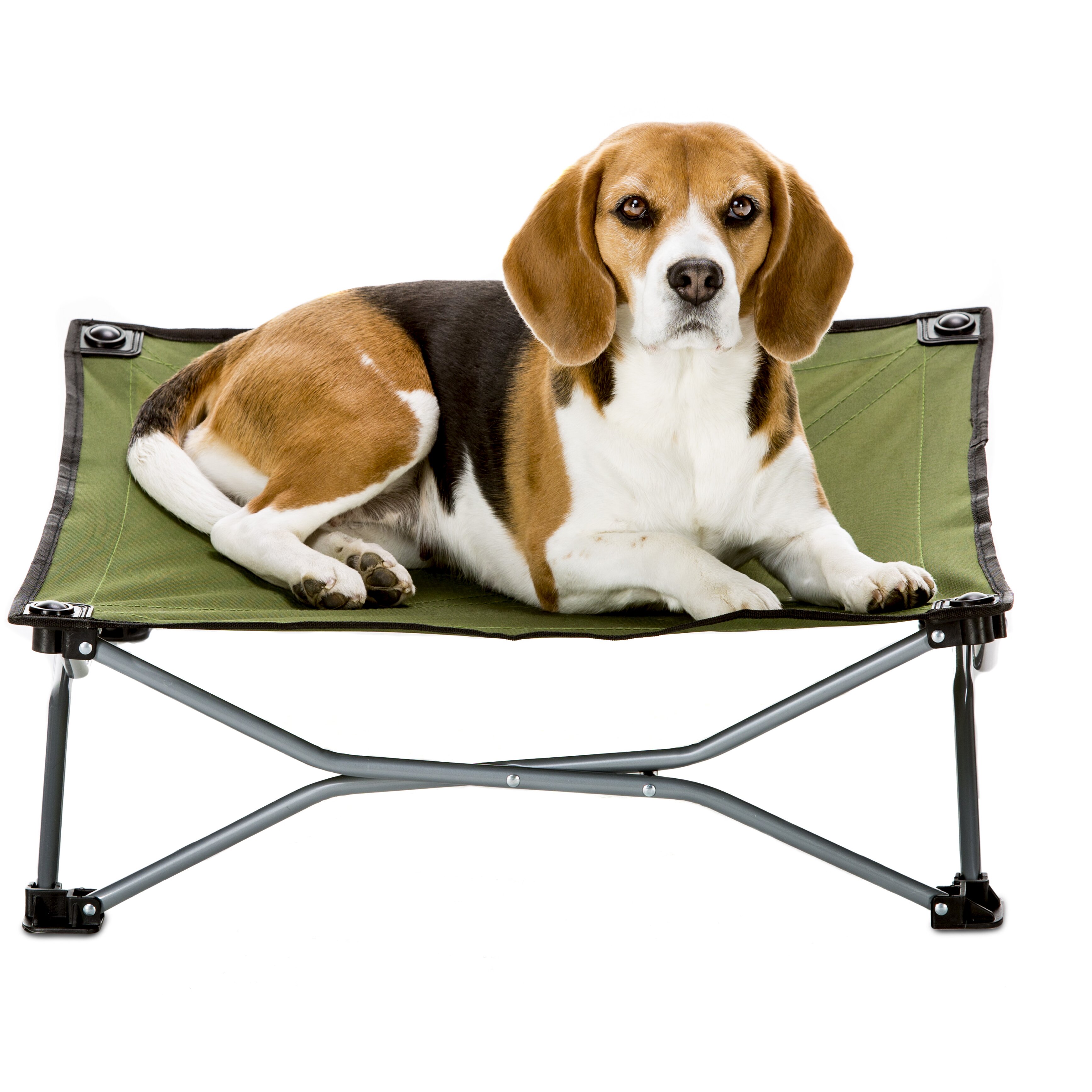 Carlson Pet Portable Pup Travel Dog Cot & Reviews | Wayfair.ca