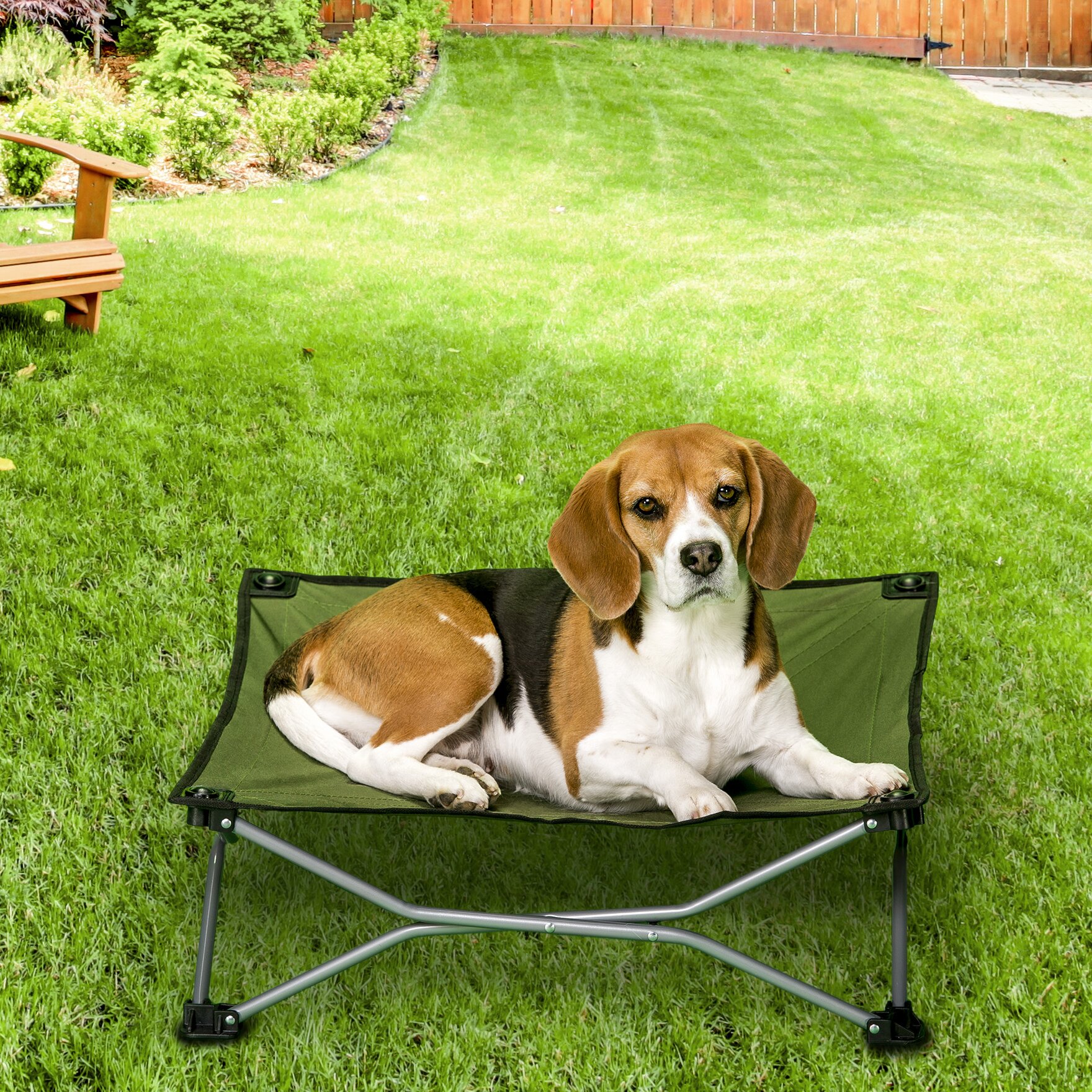 pet travel cot