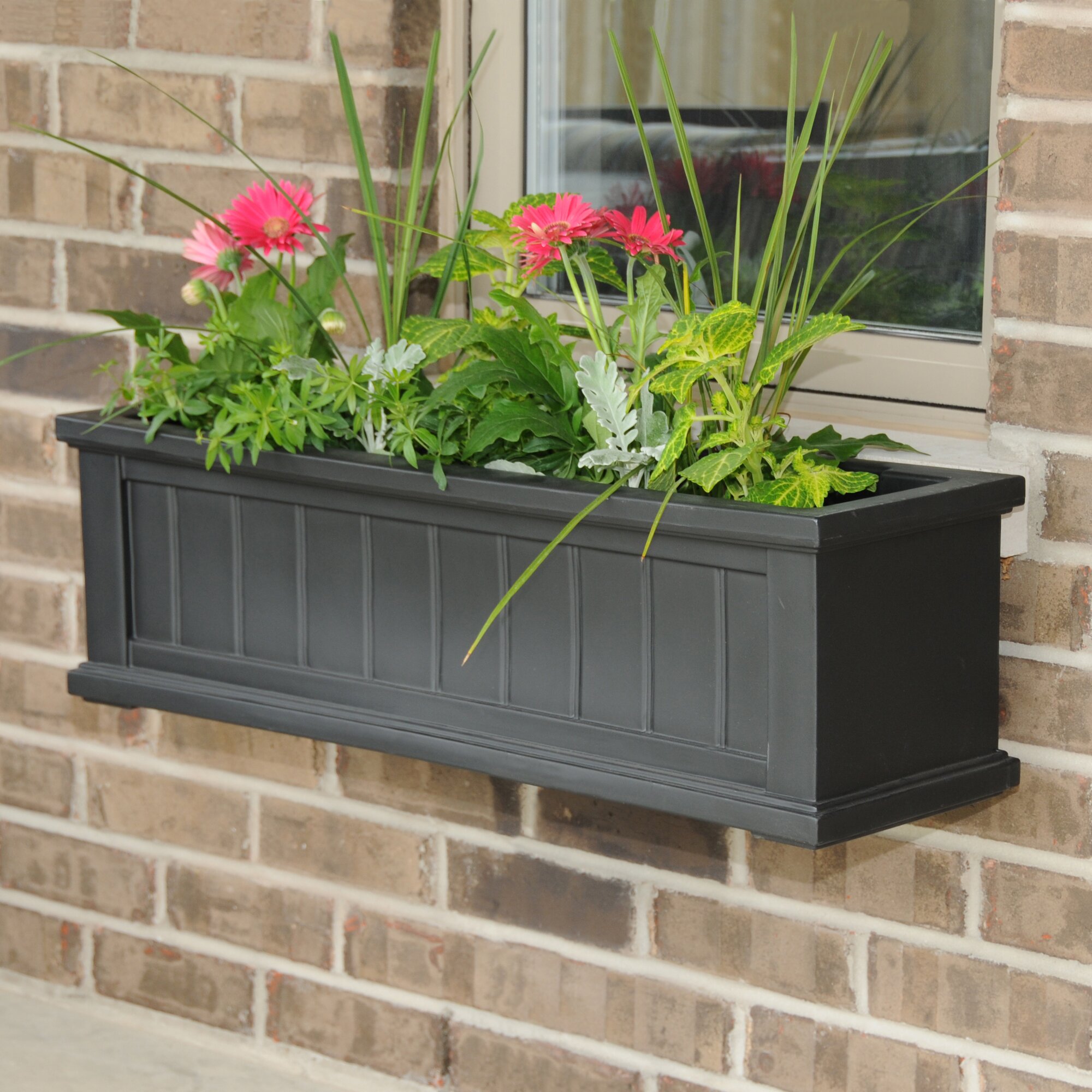 Mayne Inc. Cape Cod Rectangular Window Box &amp; Reviews | Wayfair