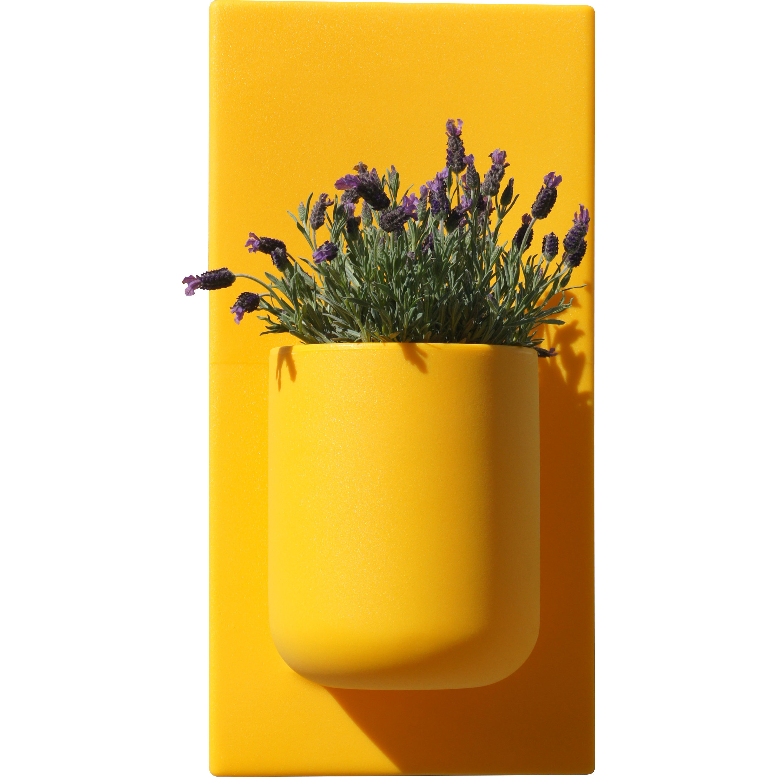 Rotoluxe Ballavaz Round Wall Planter & Reviews | Wayfair