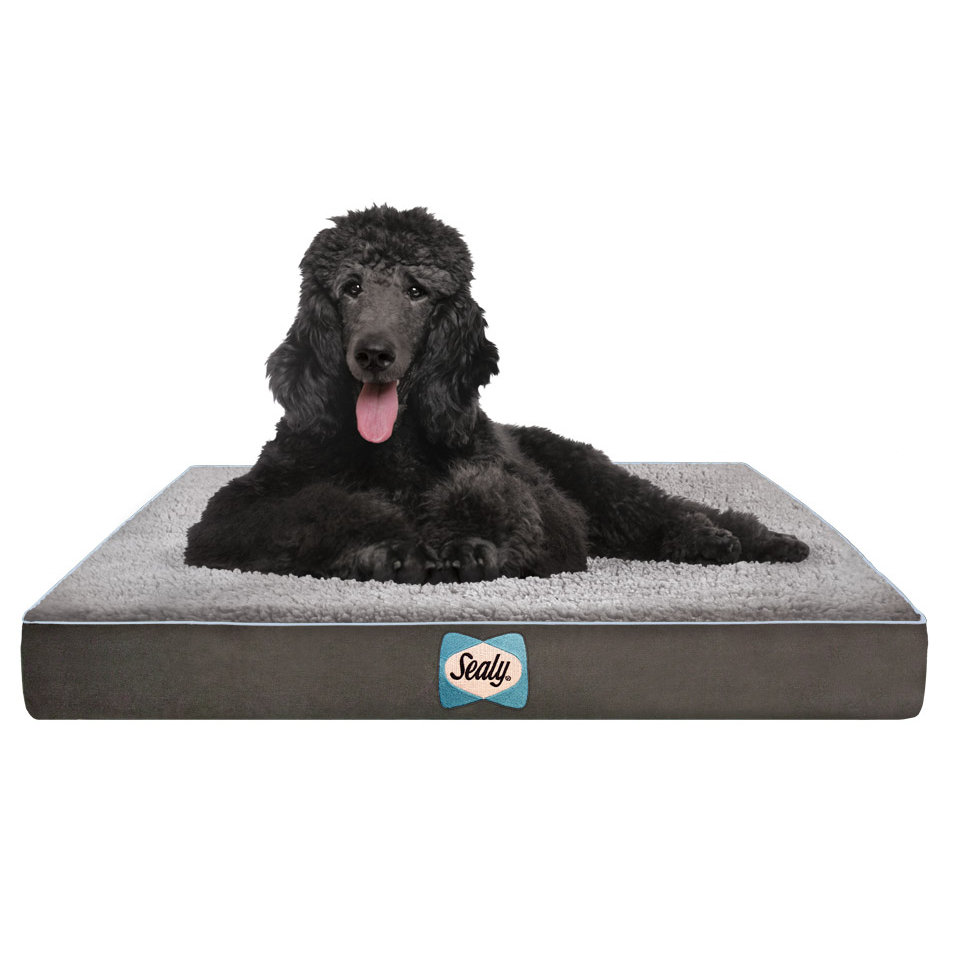 Sealy Supreme Sherpa Dog Bed & Reviews Wayfair