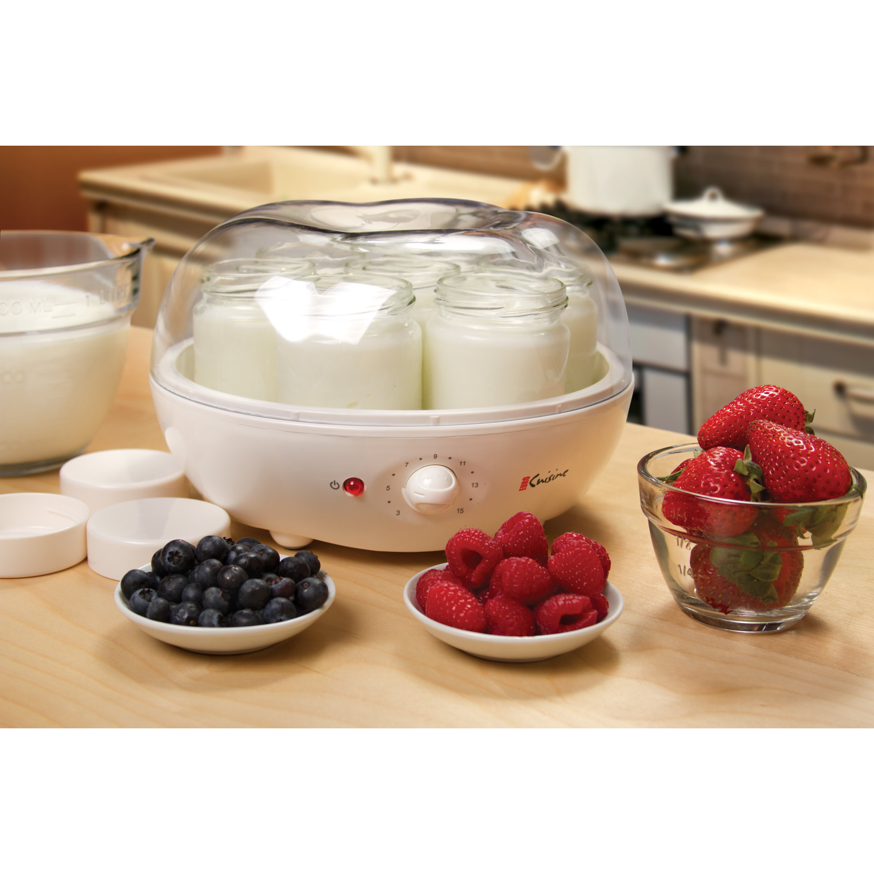 Euro Cuisine Automatic Yogurt Maker & Reviews Wayfair