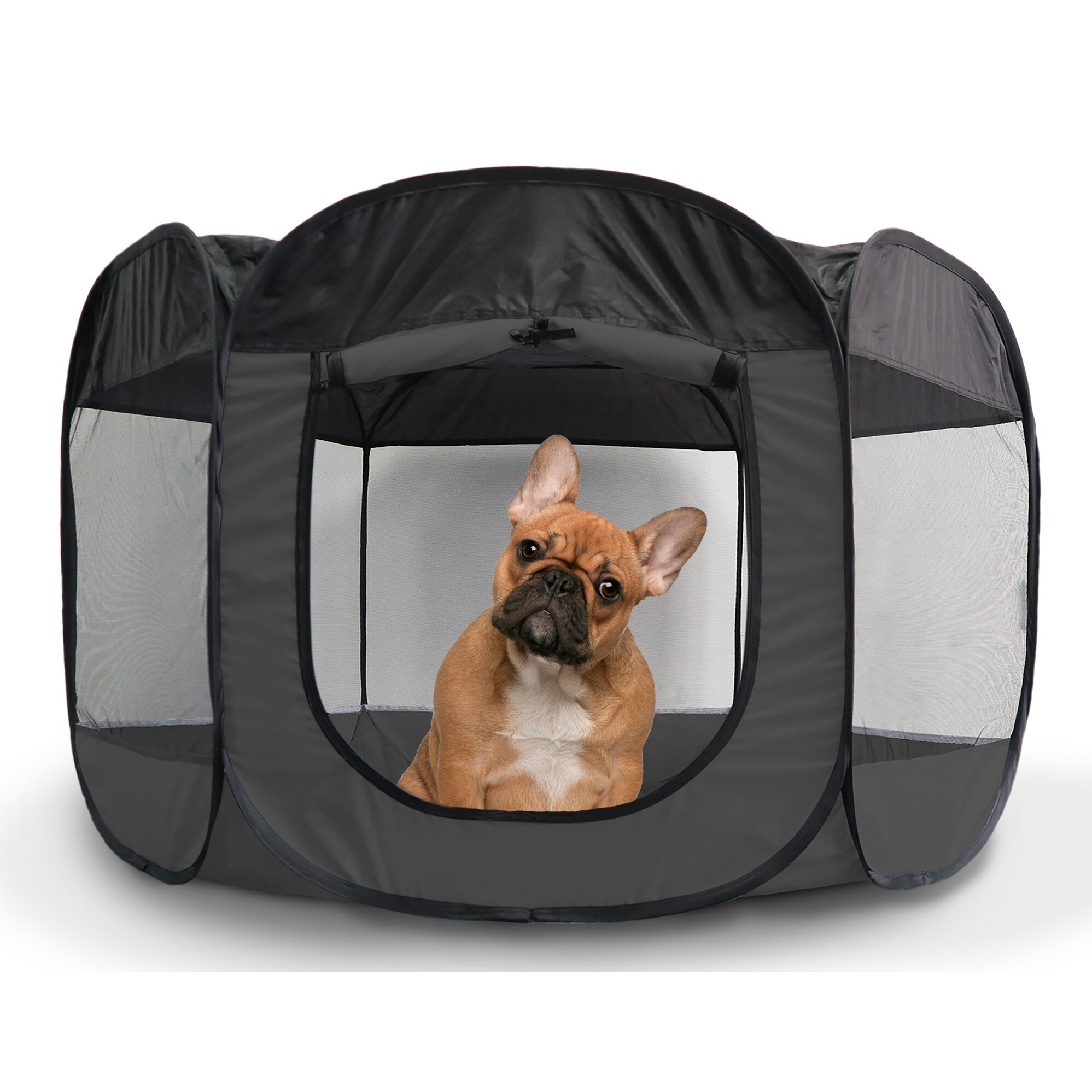 FurHaven Portable Mesh Pet Pen & Reviews | Wayfair.ca