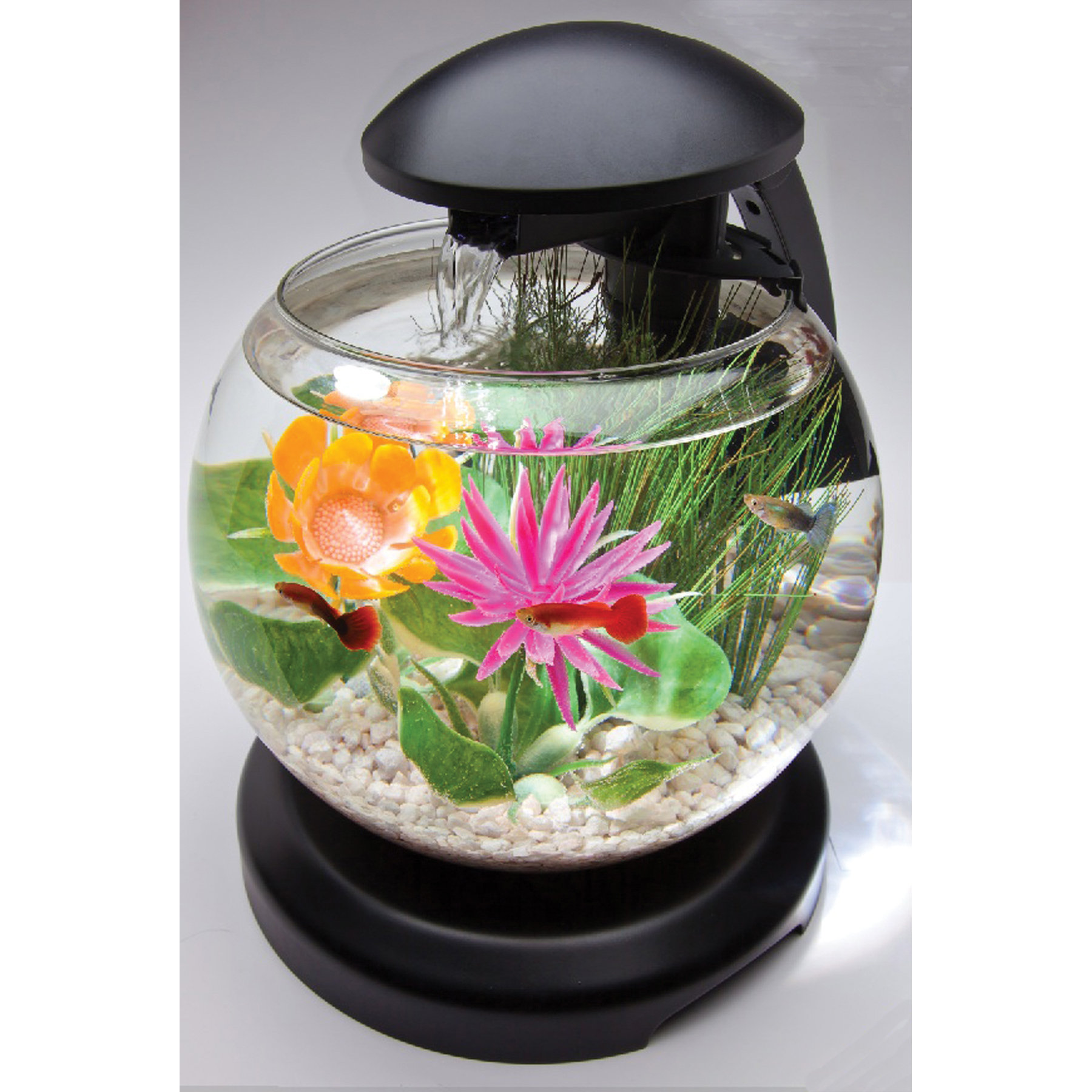 Tetra 1.8 Gallon Tetra Waterfall Globe Aquarium Kit & Reviews Wayfair