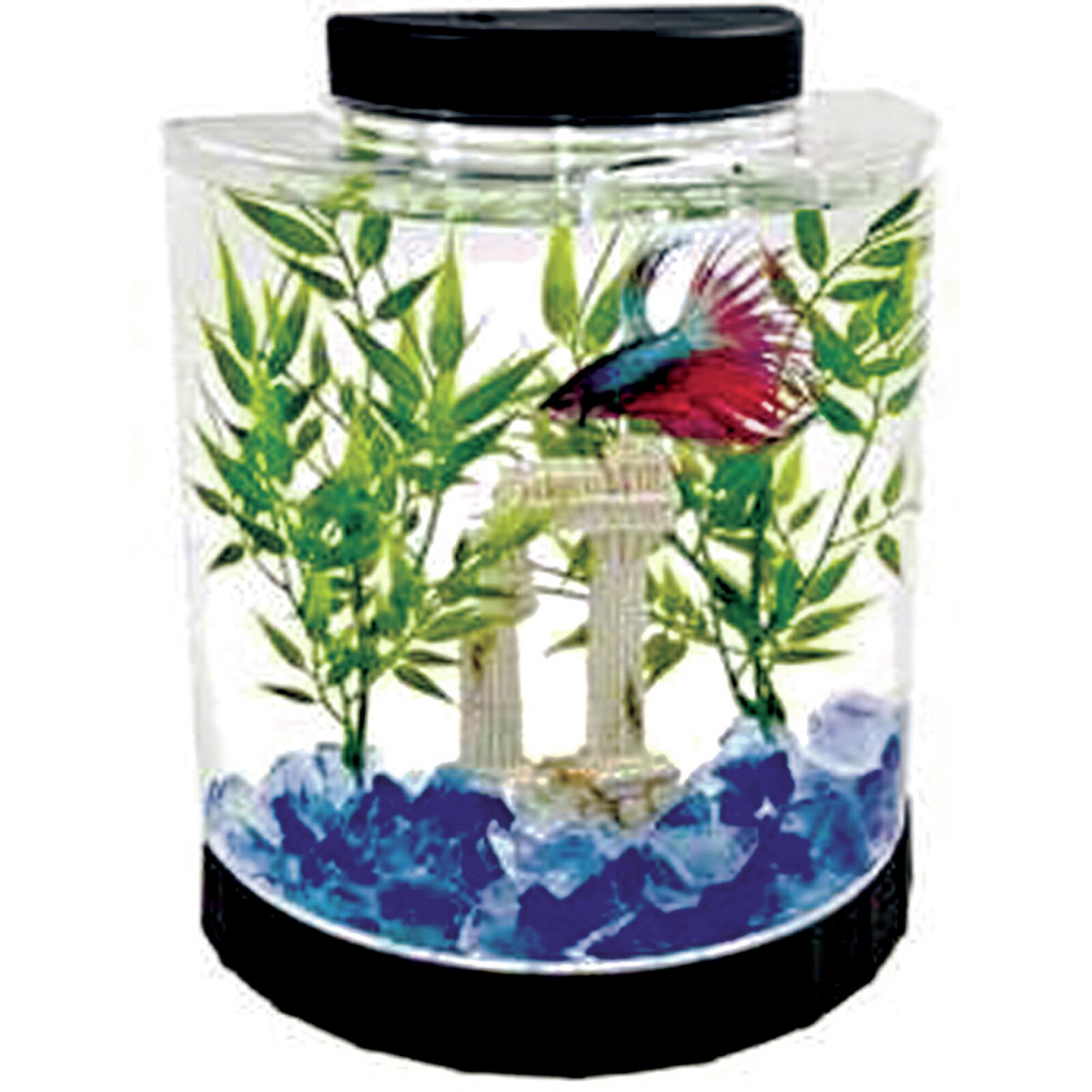 Tetra 1.1 Gallon Half Moon Betta Aquarium Kit & Reviews | Wayfair