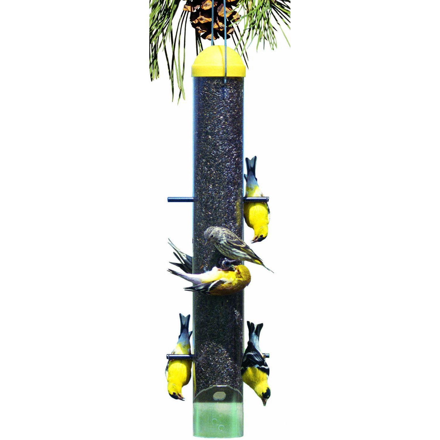 Woodstream Wildbird Upside Down Nyjer/Thistle Bird Feeder & Reviews