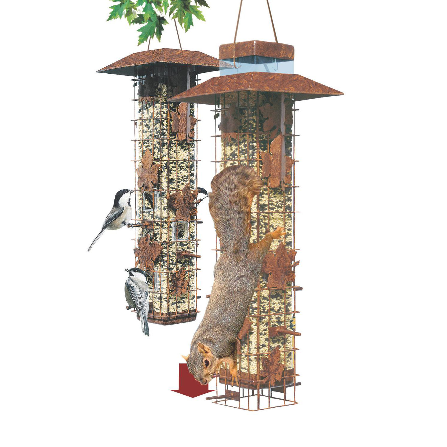 woodstream wildbird squirrel be gone wild caged bird woodstream wildbird squirrel be gone wild caged bird