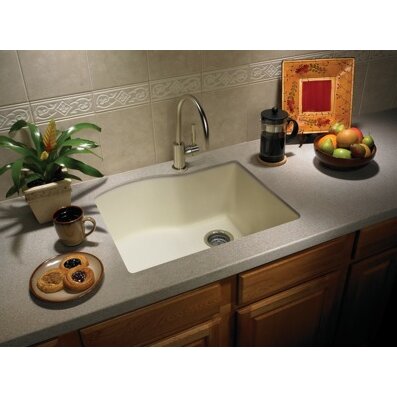 Swanstone Swanstone Classics 24 X 21 Single Bowl Kitchen Sink   Granite%2BSingle%2BBowl%2BKitchen%2BSink 